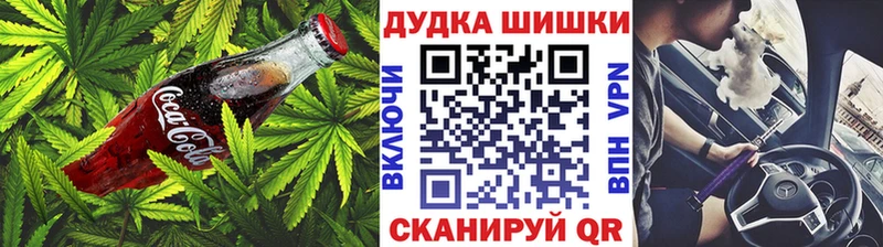 как найти Шуя Cannafood конопля