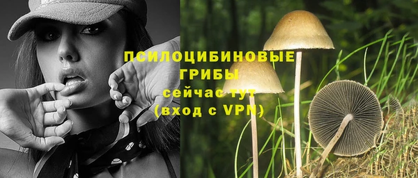 хмурый Алексеевка
